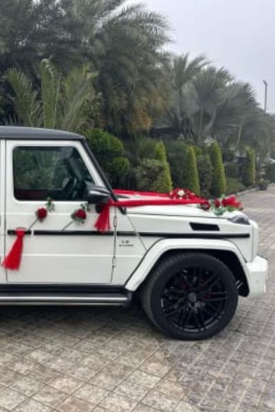 SG Travels Chandigarh